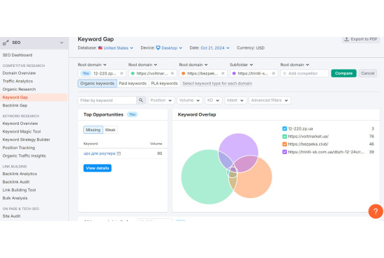 LSI and SEO Trends 2024
